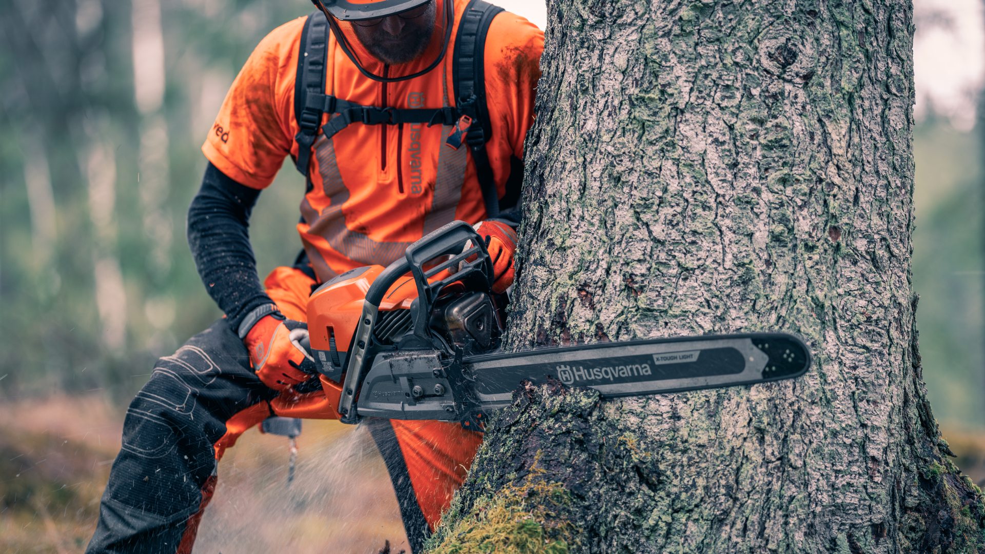 arborist cutting tree trunk with chainsaw